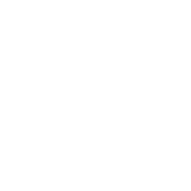 swirl icon